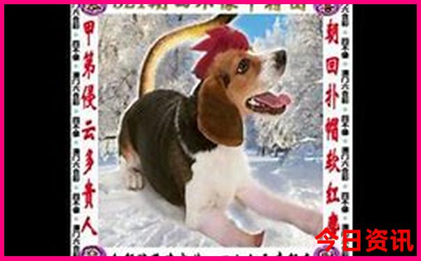 乌鲁木齐避暑胜地